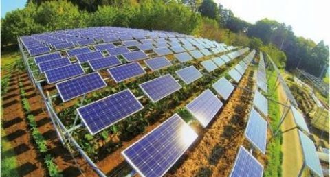  「光伏板」为何当年农村红极一时的光伏发电，突然销声匿迹了？