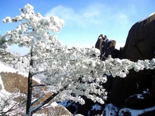 大雪过后的黄山，美景迭出