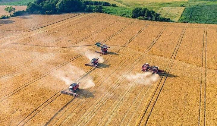 为什么美国人宁愿赔钱, 也要出口大量粮食到中国?