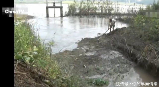 湖北持续高温天气 已有500多万人受灾 经济损失30亿余元