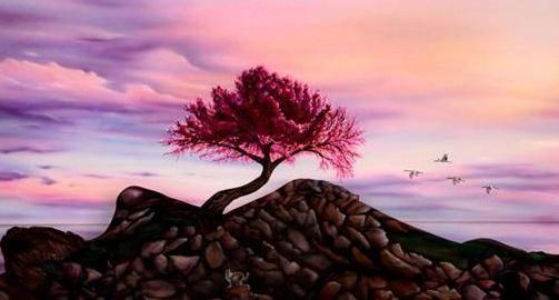 每张图中都“藏”有美女：智商高的人找出四张，找出五张要海军！