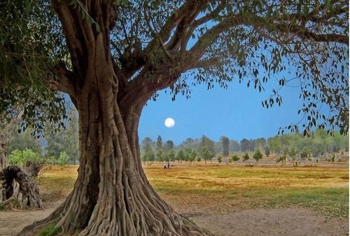  「感触」诗词｜一片愁绪已经上车，就等你们的“感触”来上车
