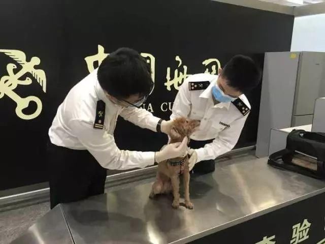 5月新规来了！第一条就超重磅！