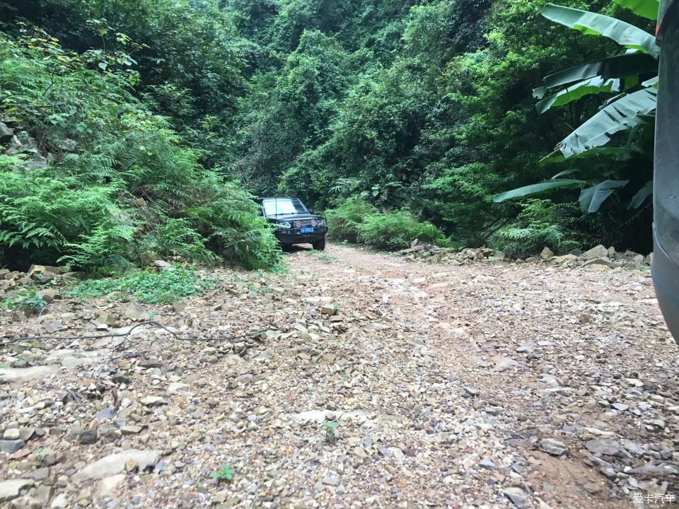 全新一代路虎发现揽胜在翁源穿越丛林挑战大坡开心的越野之旅