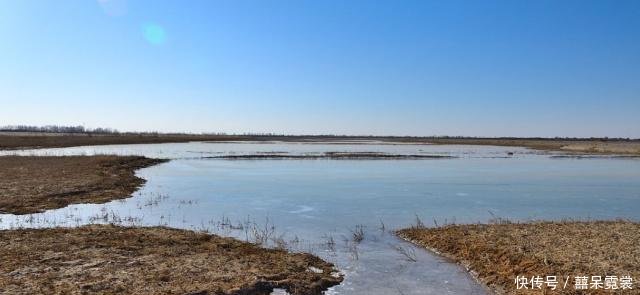 我国耗40年建亚洲最大沙漠水库，不到一年却尝到“恶果”，心痛！