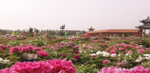  青岛：山东这5个城市人均收入最高第一临沂、第五青岛！