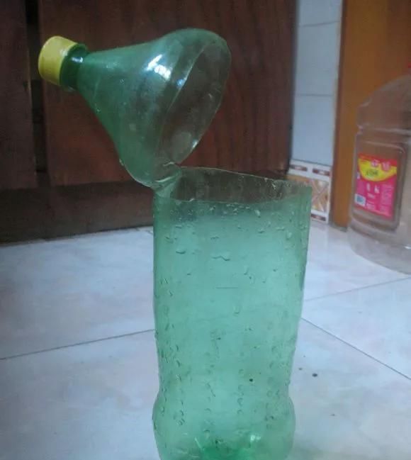  花钱买■“4种花”不用花钱买,折根枝条放水中,半个月生根,好养活的很
