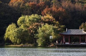 南京一湖 被誉为南京第一无污染湖，蒋介石曾在湖边选定墓址!