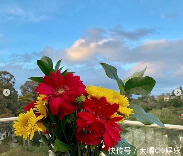 贾乃亮李小璐宣布