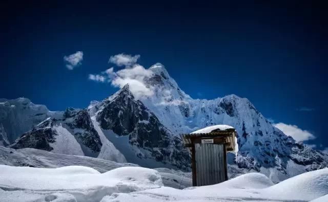 这些厕所太奇葩了！谁敢上啊！