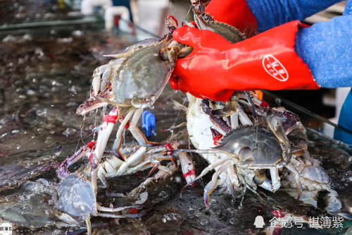 游客扎堆现买现蒸吃海鲜，一桌千元起，常常要10屉海鲜同时蒸
