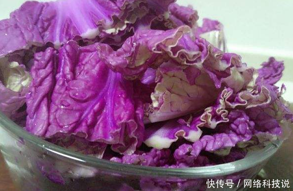农村种植一种白菜，价格高过猪肉，亩产5千斤，农民年赚几十万