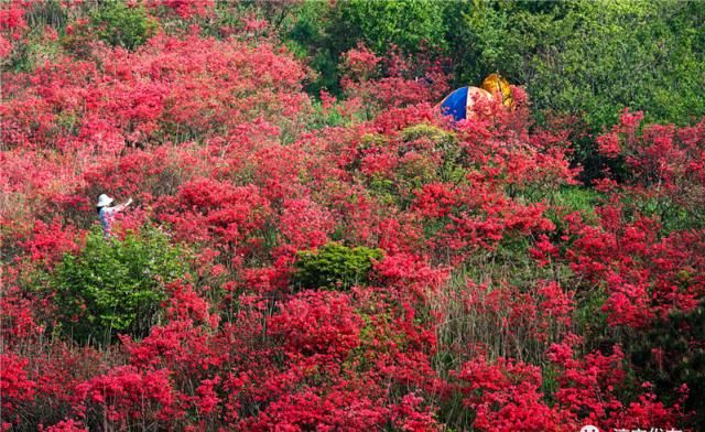 『枫树岭镇白马乳洞山』此景只应天上有!淳安这里美得“惊心动魄”……