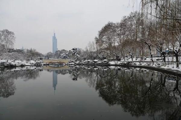 雪后的南京真美！