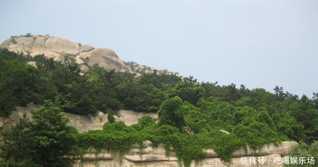  「划分」划分为10个地区的青岛