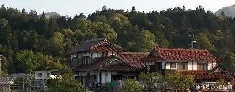 5年后, 农民手里4个“宝”很值钱, 家家要有, 没有的找村干部要了