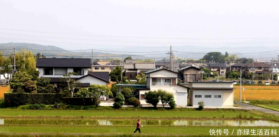 农业户口迟早取消，想保住土地权益，农民要抓紧办好这3件事！