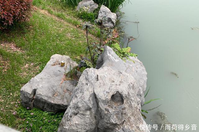 『感受』快过来,感受大自然强大的治愈力