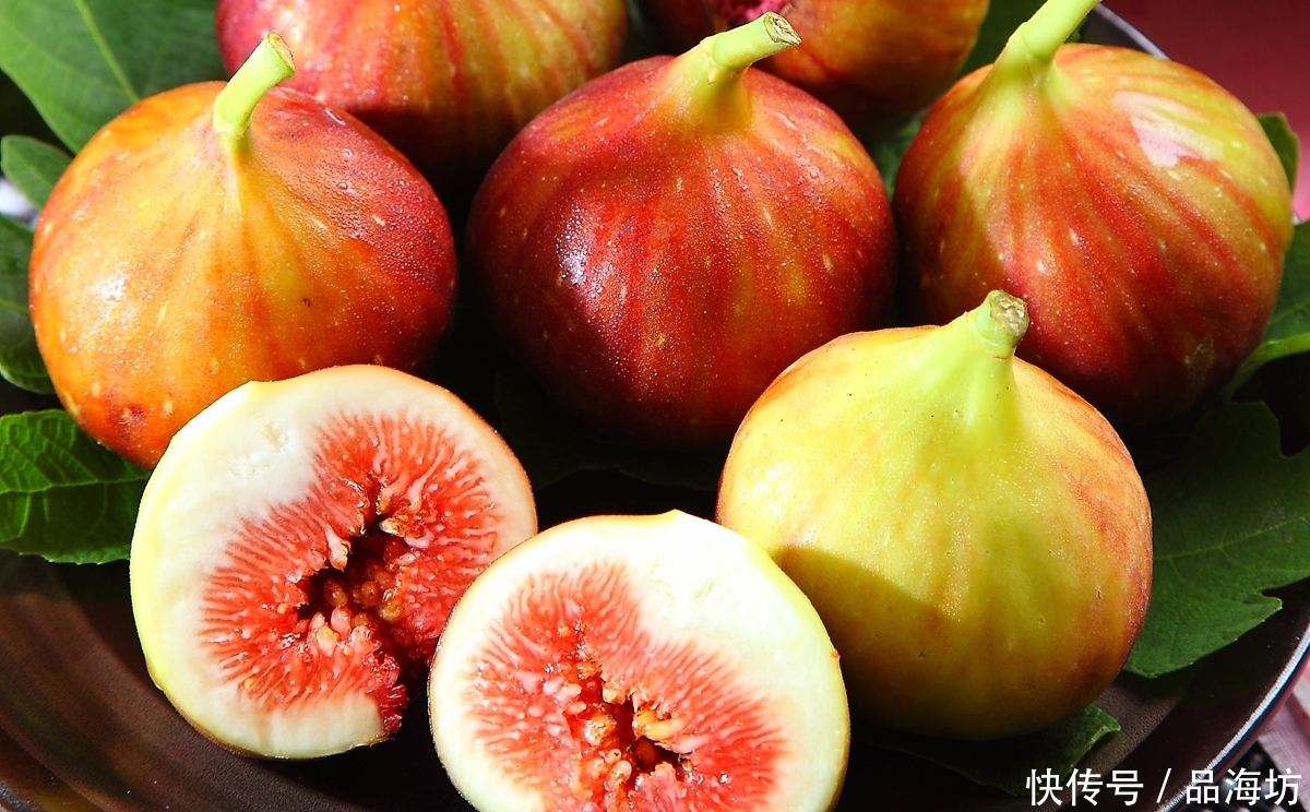  [现如今]世界上投产最快的果树，现如今大量种植没销路，每天烂