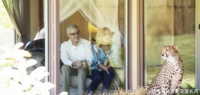 世界上“最大胆”的酒店：可以和动物结伴睡觉，还能近距离观看！