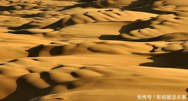 中国的又一项大工程，沙漠变绿洲，全国人们欢呼