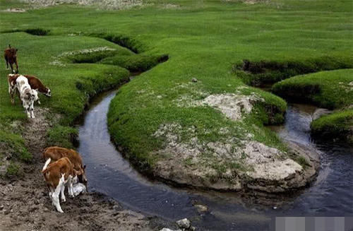 世界最“袖珍”的河,书都可以当桥梁,大鱼过去后“瘦了一圈”!