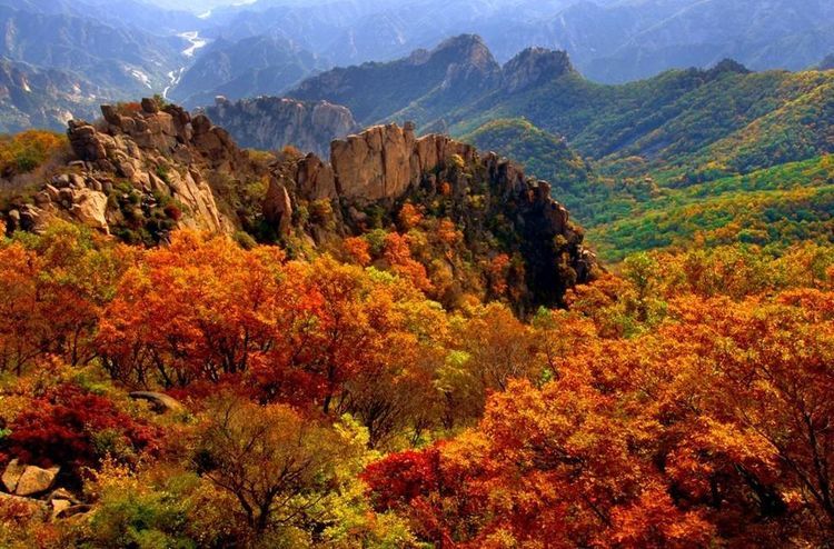 整个红叶已经染红了太行山，又到了观赏枫叶的时间