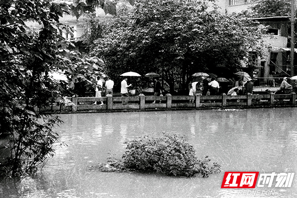 【改革开放40年】株洲:两条老街，一代株洲人的回忆
