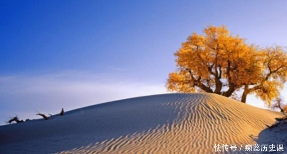  「中东国家」海水取之不尽，用来灌溉沙漠会怎样？看看中东国家