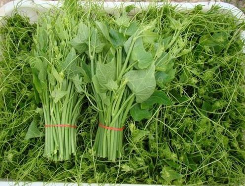 『皮肤』女性想要皮肤好,常吃以下食物,皮肤光滑,美容养颜,更加年轻