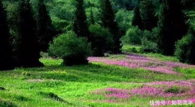 新疆有个地方，比香港还晚回归！景色却美到无法无天！