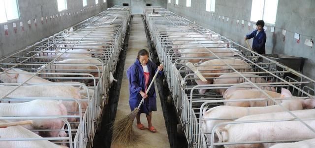 农民在自家耕地上建养殖场，村委要求必须拆除，有道理吗？