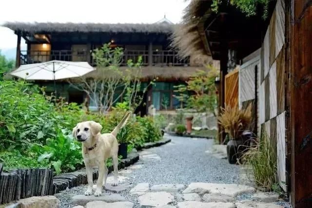  『庭院』菜吧：乡村庭院，你的第二个故乡！