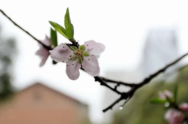  「8℃」秋裤君等一等！辽宁将迎近30年同期最低温