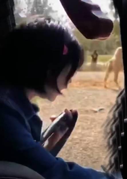 张翰马天宇收视率