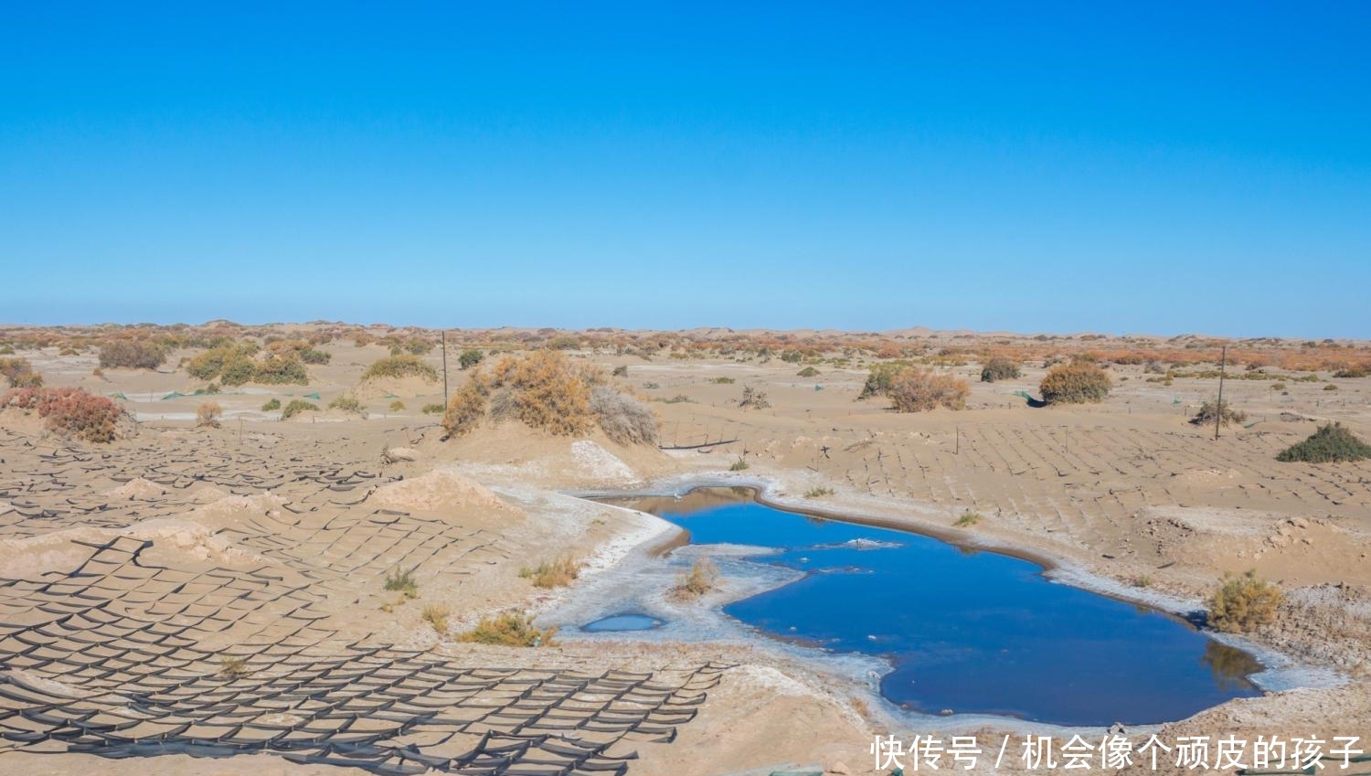 国庆去额济纳旗，路途虽远，但错过这个秋天那就得再等一年