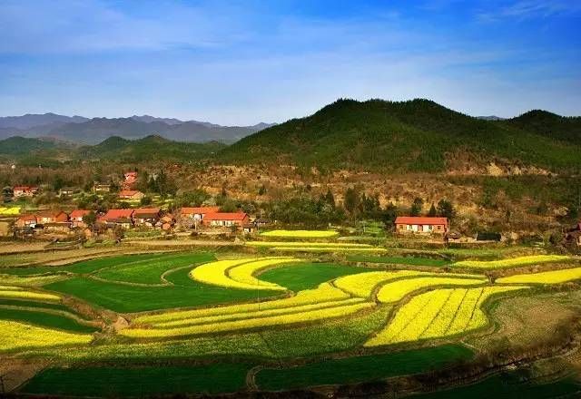 日本人在中国租了1500亩地，闲置5年任荒草疯长，但结果让中国人