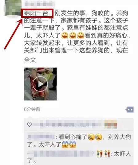 这两条刷屏的“新闻”其实是谣言！这锅狗狗坚决不背！