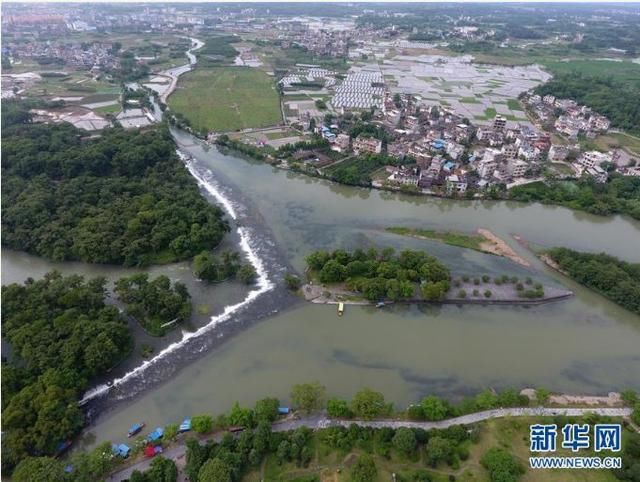 广西十多个县获“自治区级生态县”称号，点进来看有没有你家乡!