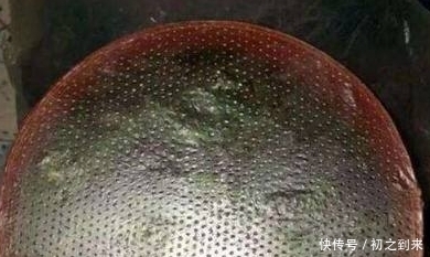  【绿萝】绿萝快死了，不要傻傻的扔了，学会这1招，一个月可以恢复回来