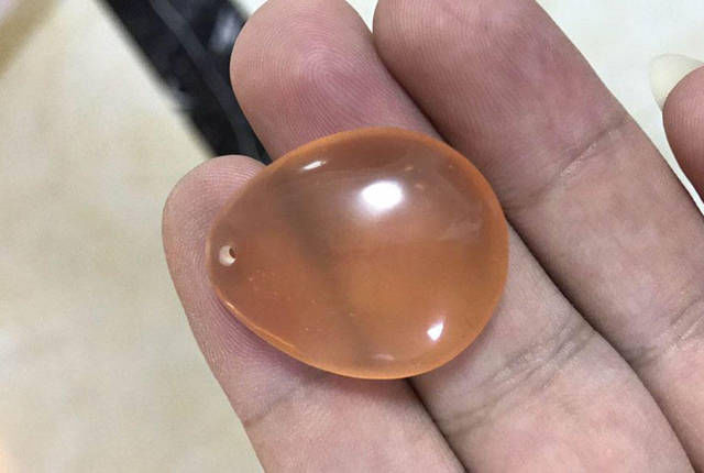  『青鱼』钓获的这条青鱼体型肥硕，通体呈青石色，单人抱起很吃力