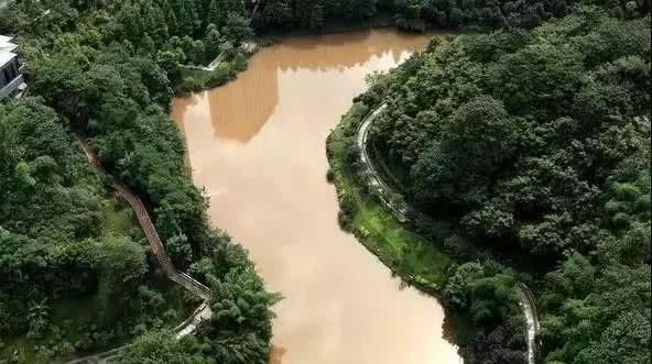 主城将建17条特色山城步道！北滨路步道元旦节前投用