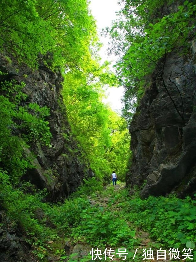 河南深藏一处原生态森林,景美人少山清水秀,国庆长假游玩有优惠