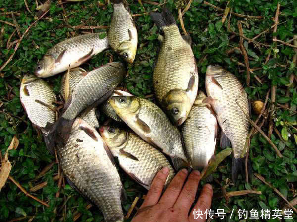 『风向』钓鱼和刮风有什么联系?能回答这三个问题,说明你钓鱼有些年头了