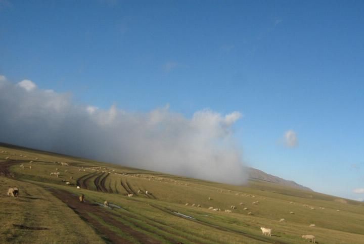 270多万平方公里的哈萨克斯坦, 有四大地貌, 最美还是伊犁河谷