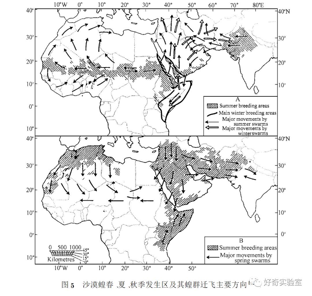  逼近@千亿蝗虫逼近中国边境，但你的辣椒和孜然可能白准备了