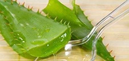  盆真|最养人的“2种植物”，既能吸甲醛，又能“乌发”，养1盆真值得！