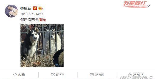 生病住院惨被结婚，但林更新还是想让人哈哈哈~