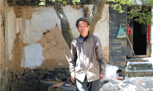 80岁农民宫大爷家里，有棵7米多高300年的黄杨树，你看能值多少钱