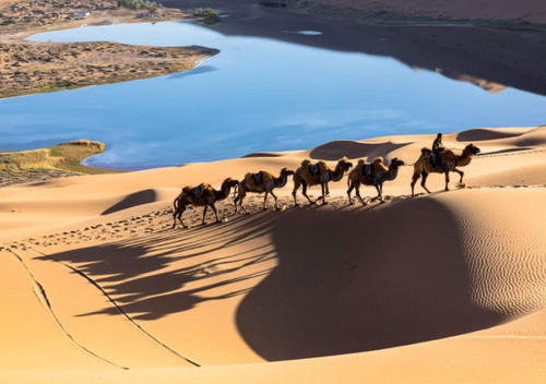 世界上“最神奇”的沙漠，鱼虾成群，沙漠湖泊随季节交替变换